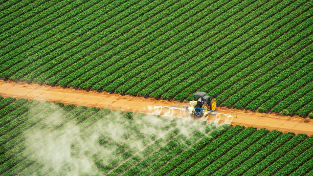 Reliable Gowanda, NY Pest Control Solutions