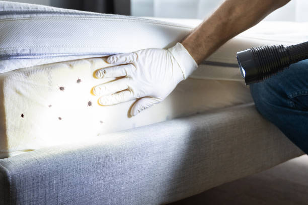 Best Commercial Pest Control Services  in Gowanda, NY