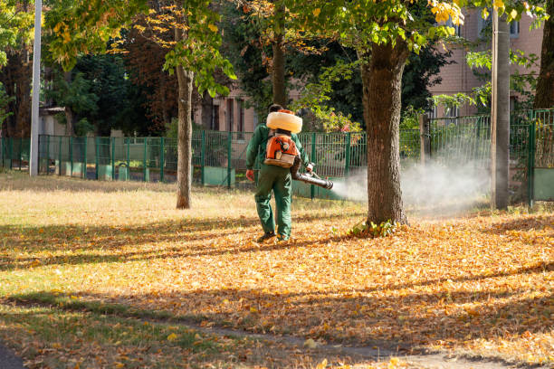 Best Affordable Pest Control Services  in Gowanda, NY